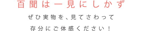 百聞は一見にしかず