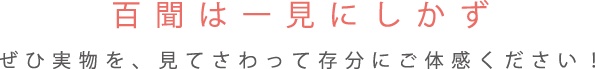 百聞は一見にしかず